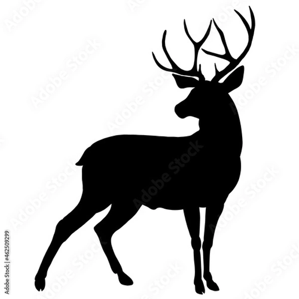 Obraz The silhouette of a deer. A horned beast from the forest. Elk, caribou, antelope