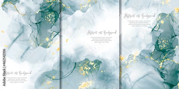 Fototapeta Set of Abstract Alcohol Ink Background