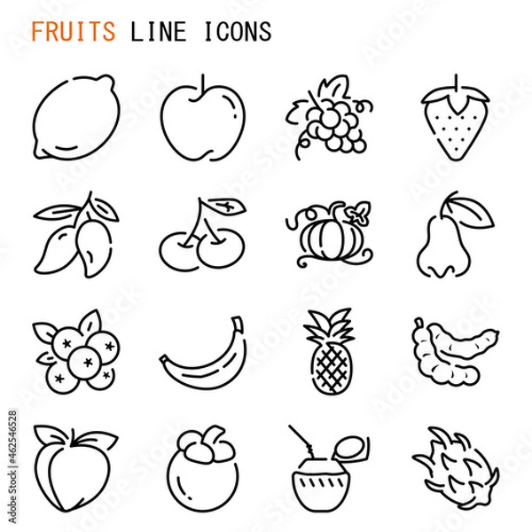 Obraz Fruits line icons