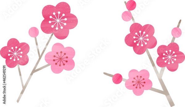 Fototapeta かわいい梅の花のイラストセット