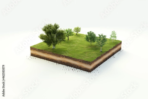 Obraz 3D cubical garden grass land with trees, soil geology cross section, 3D Illustration ground ecology isolated on white background