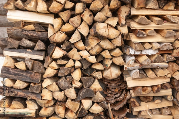 Fototapeta Birch and aspen firewood stacked in a woodpile. Autumn in Siberia. Preparing for winter.