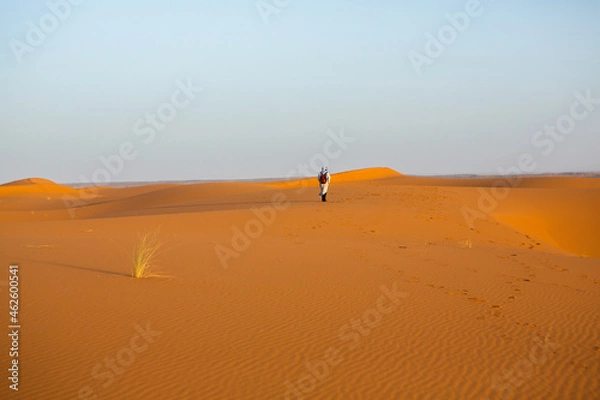 Fototapeta Beautiful sand dunes in the Sahara Desert in Morocco. Landscape in Africa in desert.
