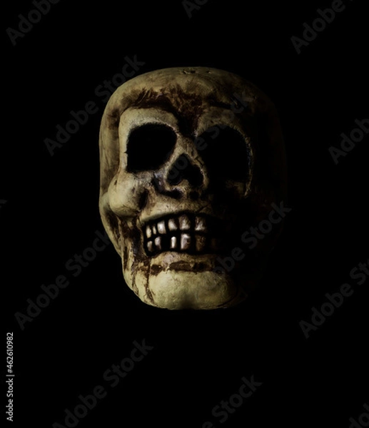 Obraz skull in the dark. White light illuminating the skull sideways. 