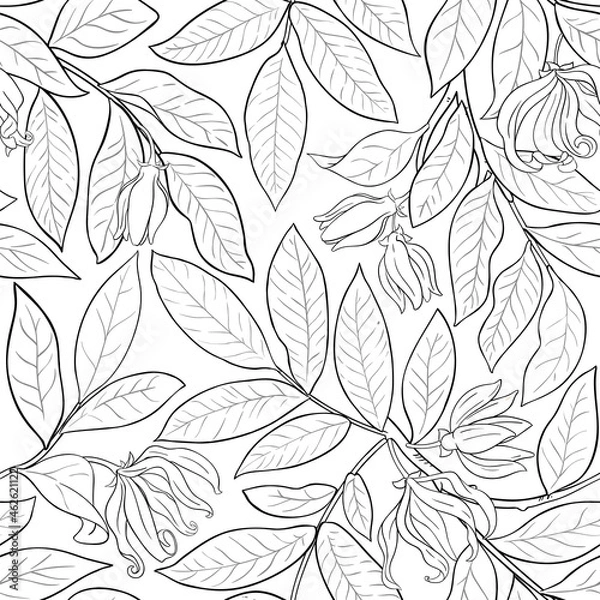 Fototapeta ylang ylang pattern on white background