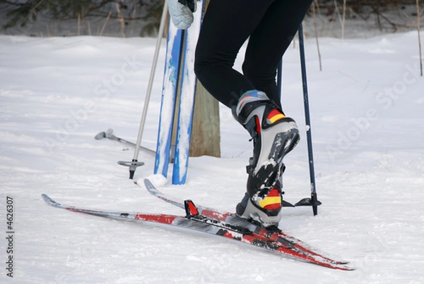 Obraz Cross country skiiing. 