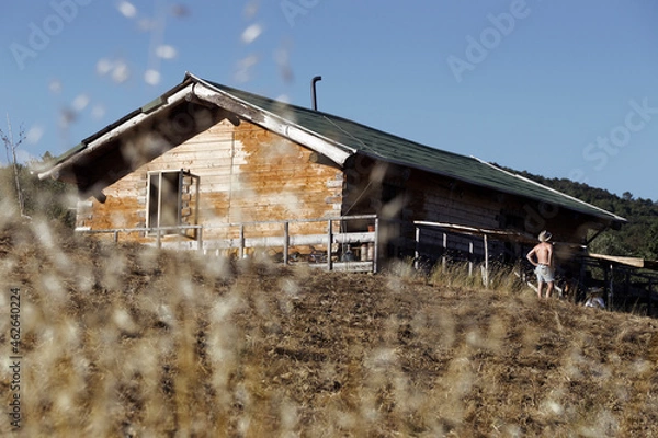 Obraz View of a wooden country house and a farmer from behind with a straw hat, in the evening light, Tuscany, Italy Europe.