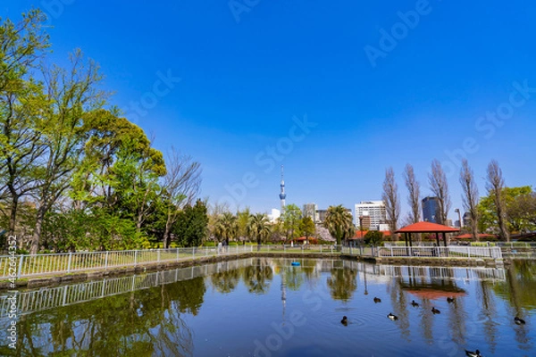 Fototapeta 猿江恩賜公園のミニ木蔵（2021年3月）