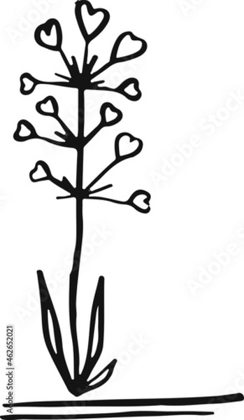 Fototapeta Line sketch bundle silhouette vector