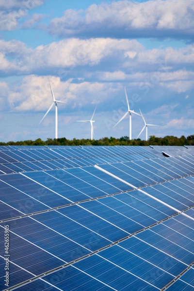 Obraz solar panels and turbines