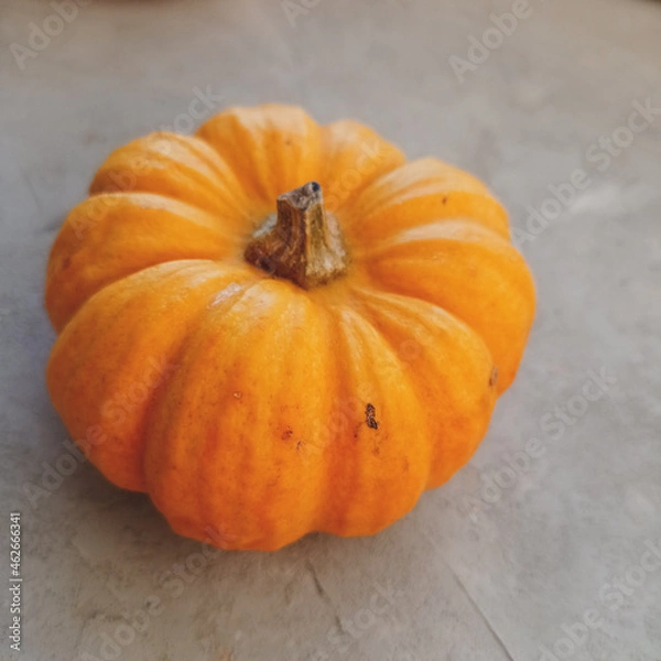 Obraz pumpkin on a wooden table