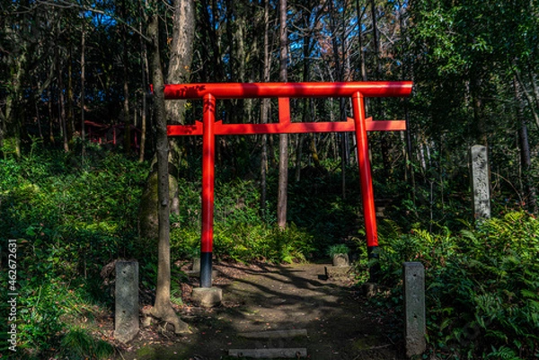 Fototapeta 小牧山　吉五郎稲荷鳥居と参道
小牧山城登城道途中