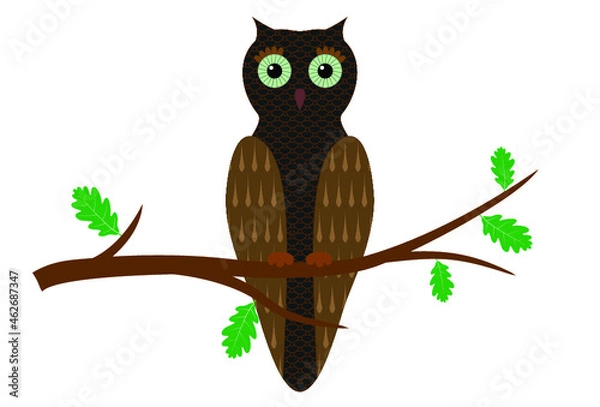 Obraz Cartoon owl