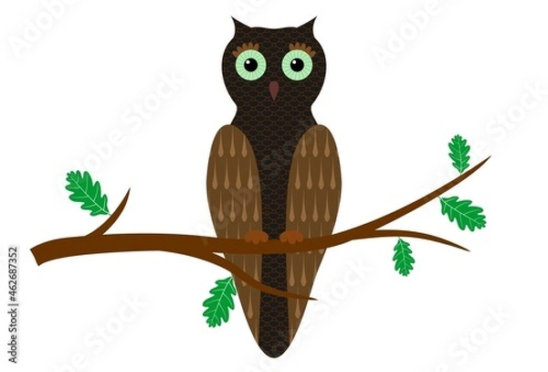 Obraz Cartoon owl