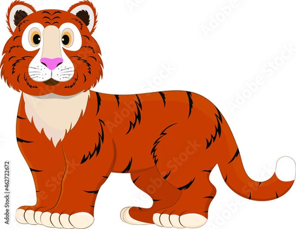 Fototapeta 
Tiger isolated on a white background. Vector illustration