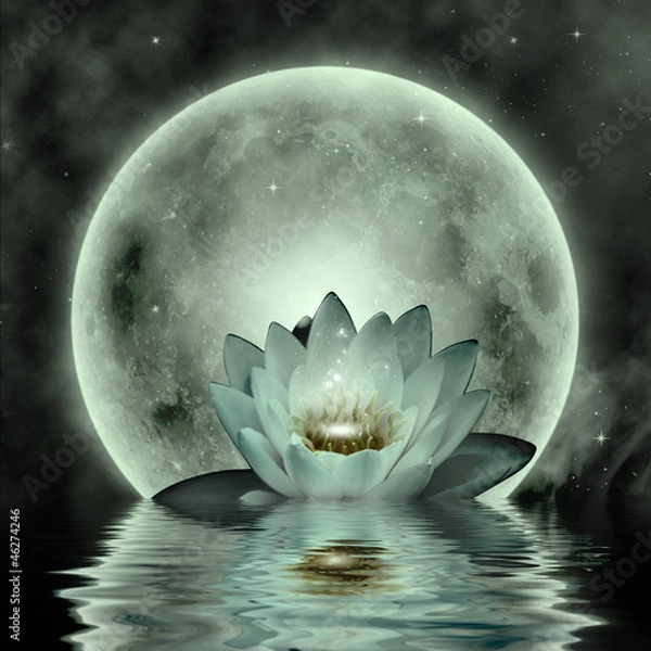 Obraz Abstract background with lotus flower