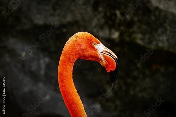 Fototapeta Baltimore 