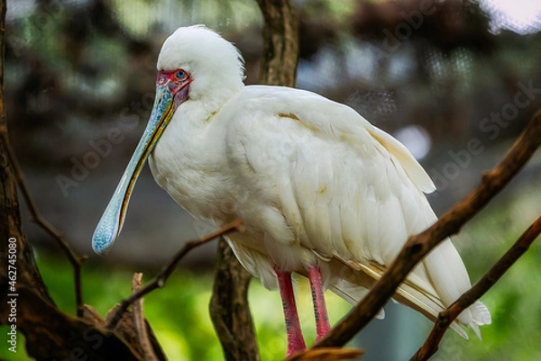 Fototapeta Baltimore 