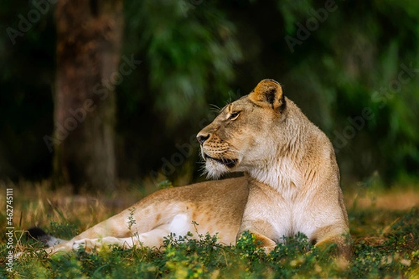 Fototapeta Baltimore 