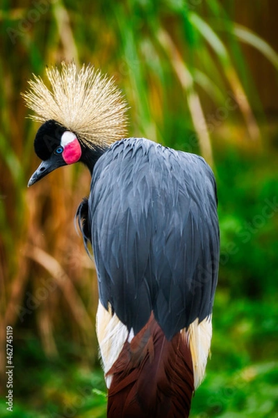 Fototapeta Baltimore 