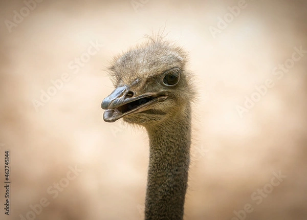 Fototapeta Baltimore 