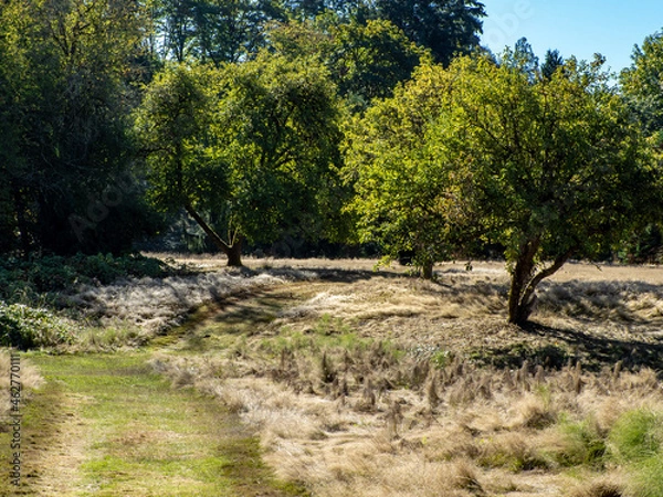 Obraz Photo from Bothell, Washington