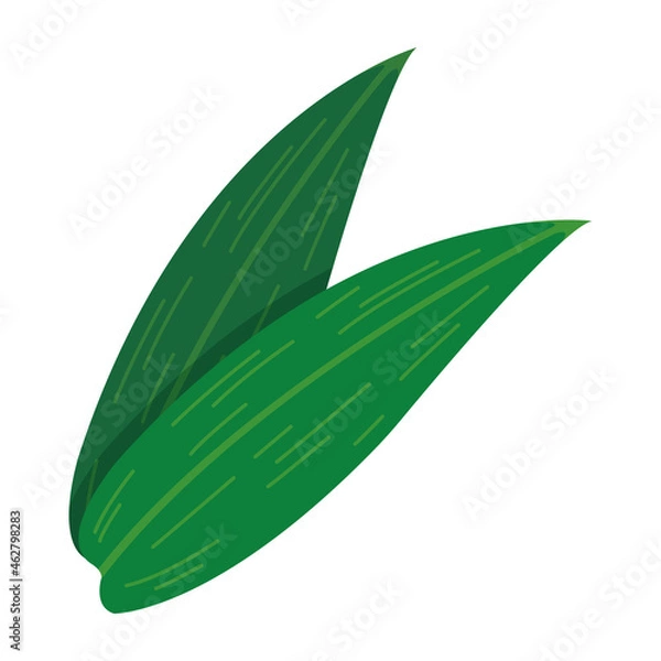 Fototapeta シンプルな笹の葉のイラスト