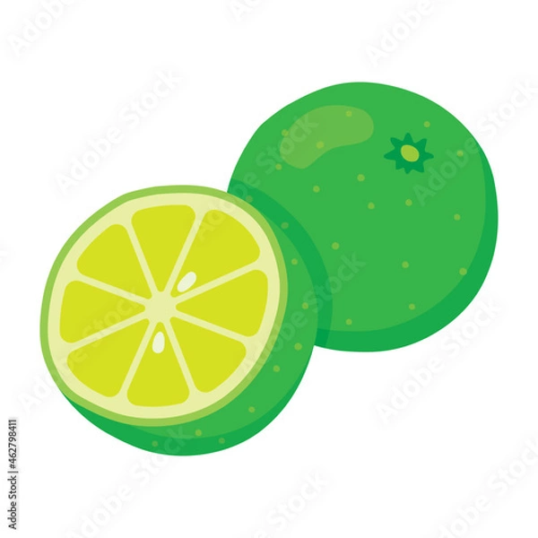 Obraz すだちのイラスト