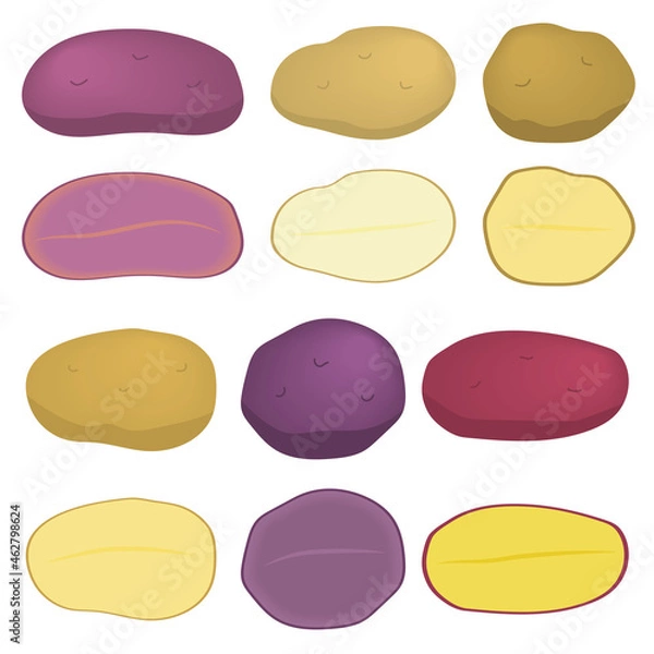 Obraz 色々なじゃがいものイラスト