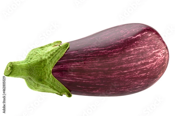 Obraz violet eggplant vegetable closeup isolated on white
