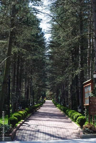 Obraz NG sapanca wellness & convention