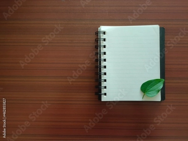 Fototapeta Leaf on notebook