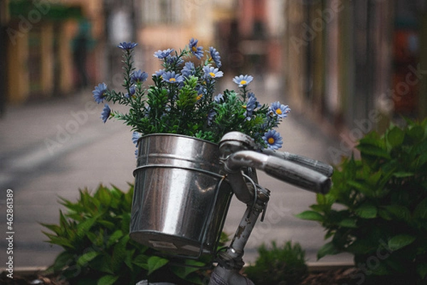 Obraz flowers in a watering can