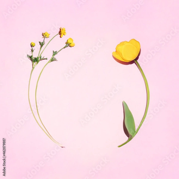 Fototapeta Minimal layout with yellow tulip and meadow flower on pastel pink background. Romantic nature flat lay concept with creative copyspace.