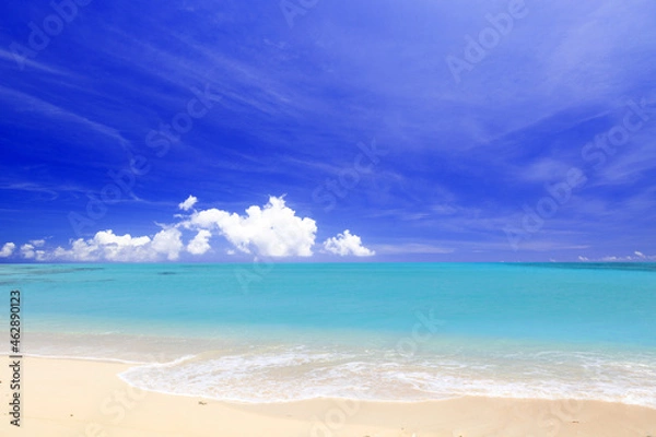 Fototapeta 沖縄の美しいビーチ