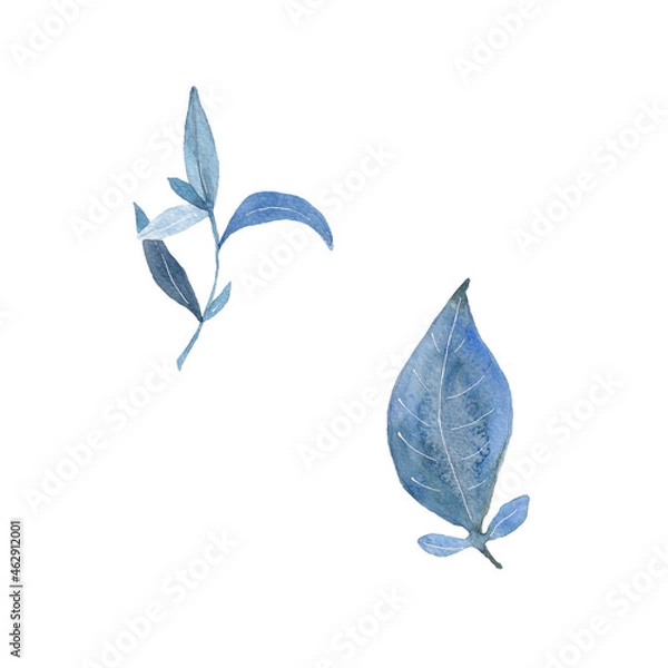 Obraz Paint of watercolor blue leave on  background. Paint watercolor texture. Botanical art. Use for design invitations, birthdays, weddings