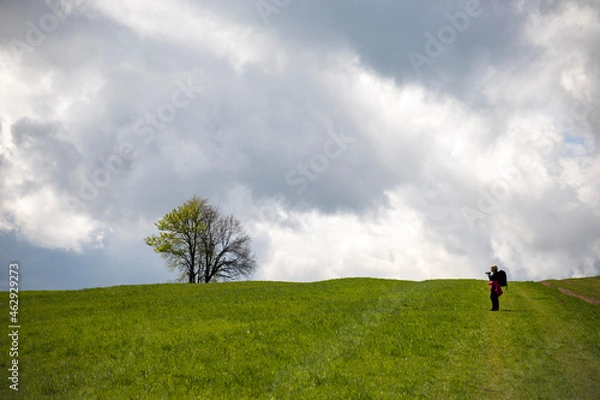 Fototapeta A child with a backpack standing in the meadow. The way up. Tree in the field. Hill and clouds.