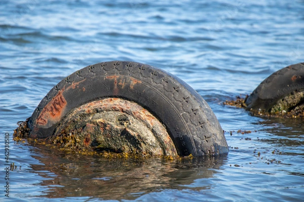 Obraz Tyres in the sea