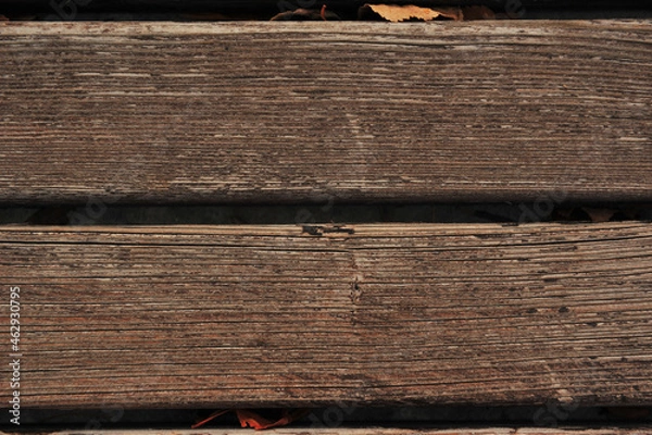 Obraz old wood texture
