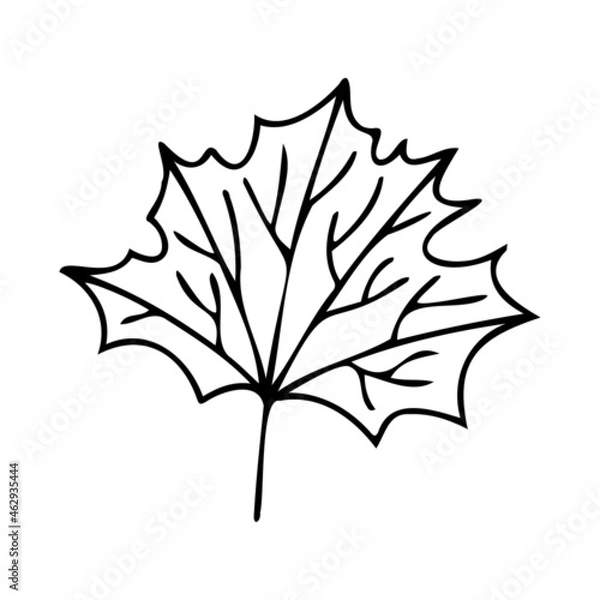 Obraz Isolated vector set of autumn leaves bouquet lined silhouettes in black and white