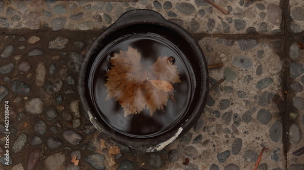 Obraz baking cookies in a pan