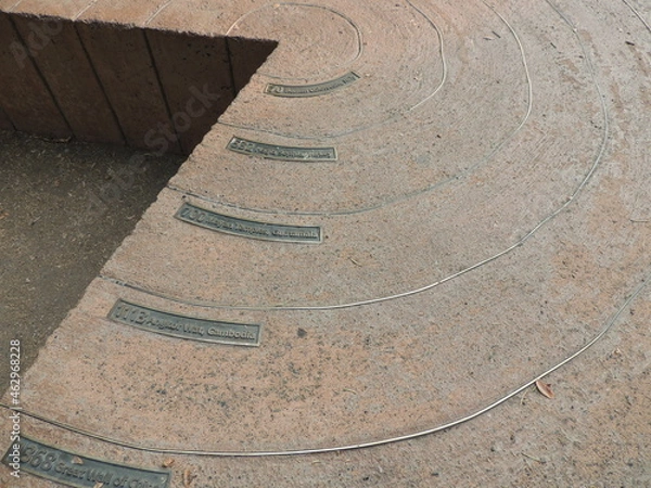 Obraz Tree Cross Section Yosemite National Park