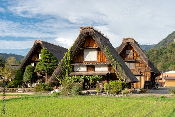 Obraz 青空の下の白川郷　日本の伝統　合掌造り　茅葺屋根の建物