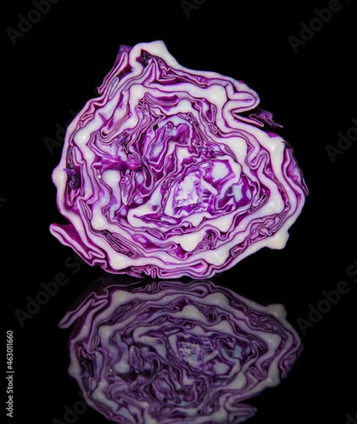 Fototapeta High resolution photo: Red cabbage isolate