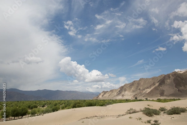 Obraz 美しい風景の中のランドスケープ