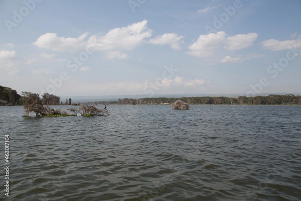 Obraz 美しい風景の中のランドスケープ