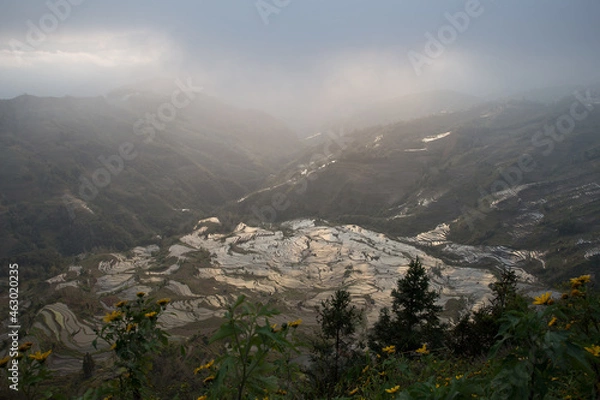 Obraz 美しい風景