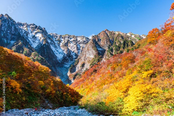 Fototapeta 谷川岳　一ノ倉沢の紅葉