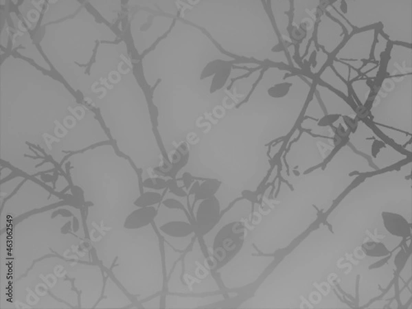 Fototapeta 背景画像