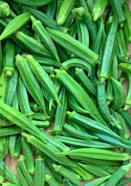 Obraz Okra